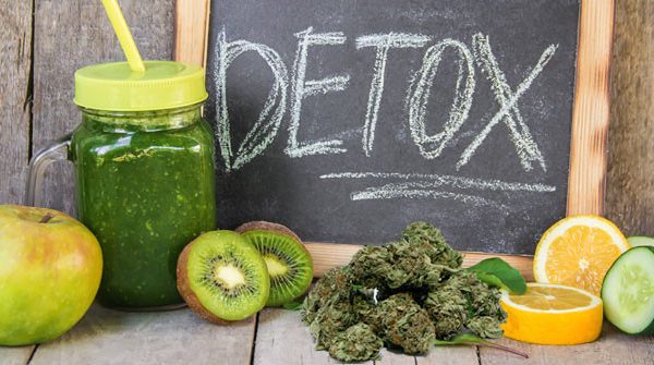 Compare thc detox products online