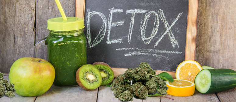 Compare thc detox products online