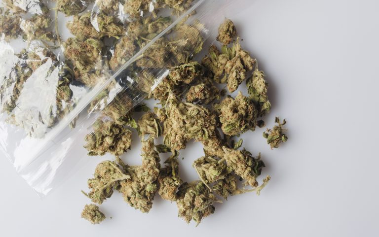 Medical cannabis buds scattered from package on white from above