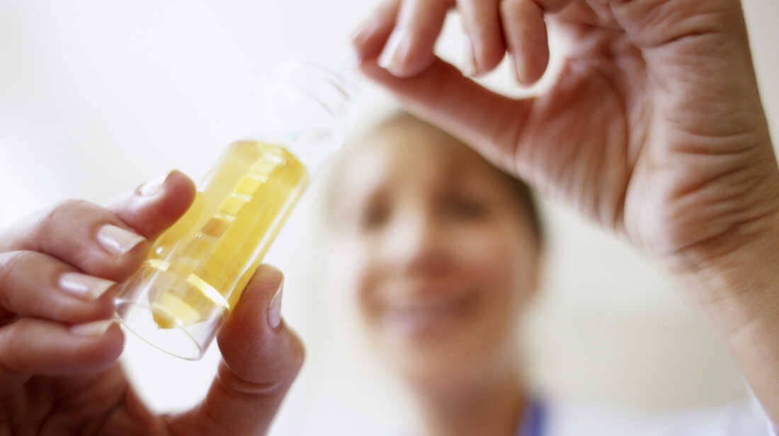 best synthetic urine